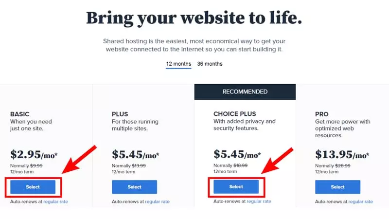 Choose Your Bluehost Plan