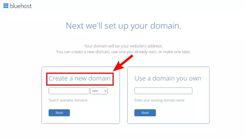 Choose Your Free Domain Name