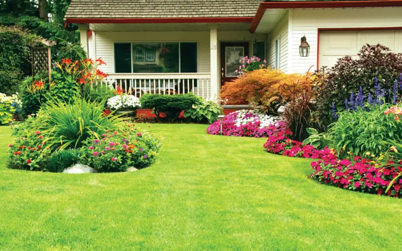 Home Landscaping Business